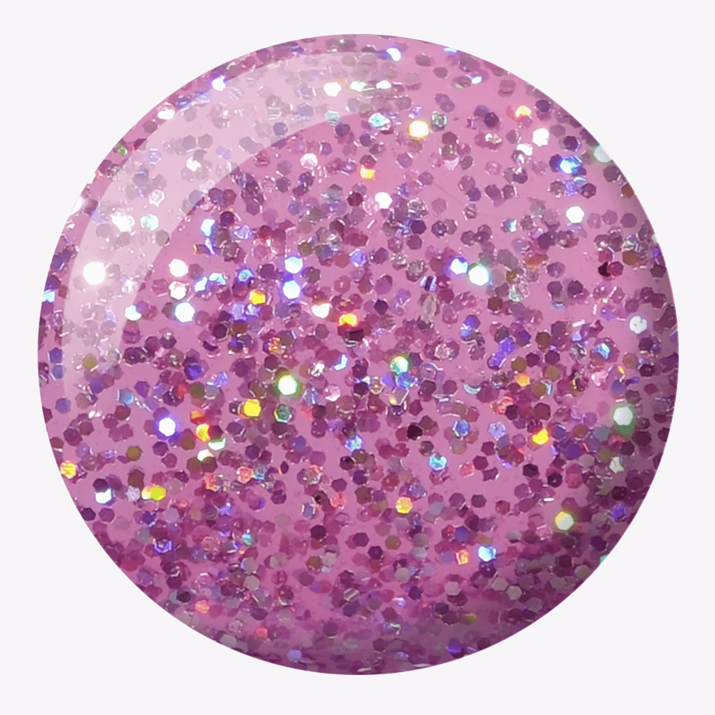 Queen Conch DIVA #008