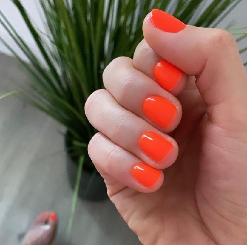 Livin' For Neon Gel Polish Starter Kit