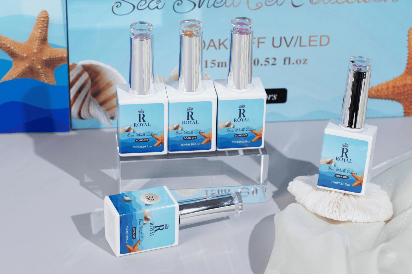 SEASHELL COLLECTION | 36 COLORS