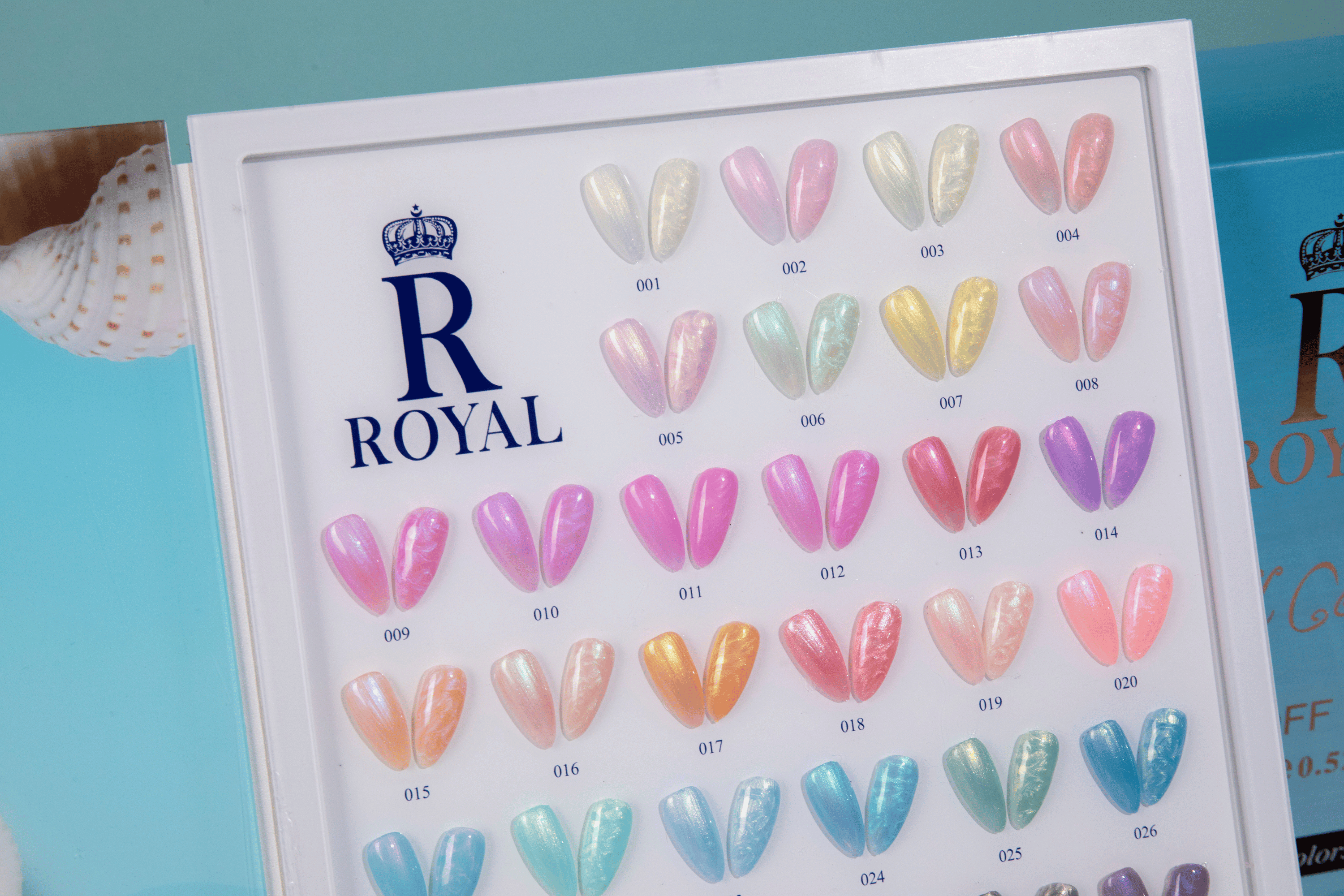 SEASHELL COLLECTION | 36 COLORS