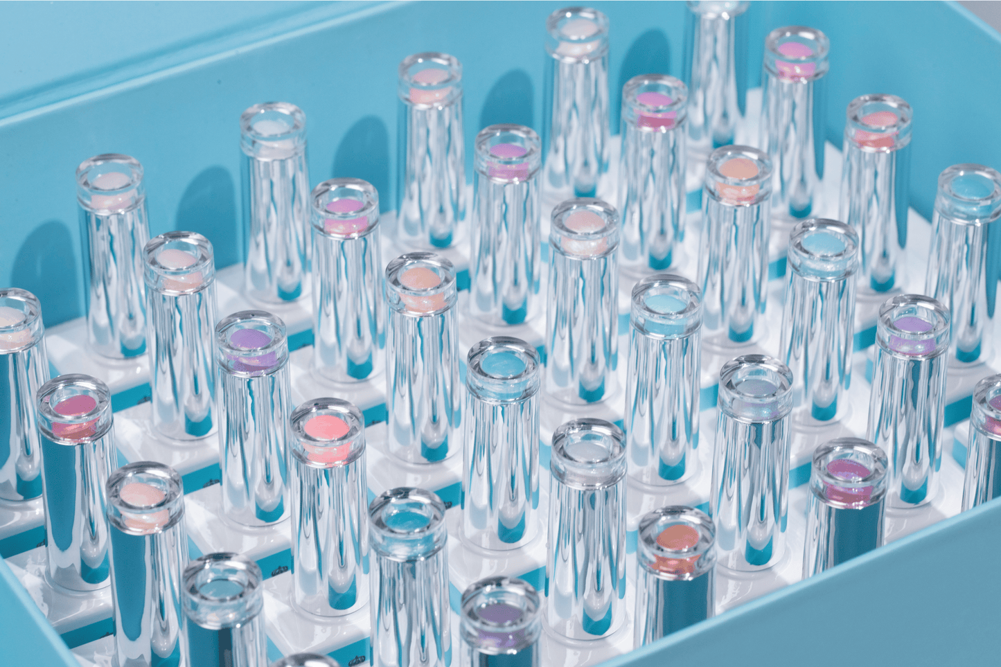 SEASHELL COLLECTION | 36 COLORS