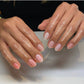 DND Sheer Collection - 36 Set